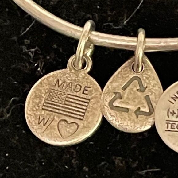 2014 Alex & Ani “Path of Life” pull chain silver tone charm bracelet - Picture 10 of 10